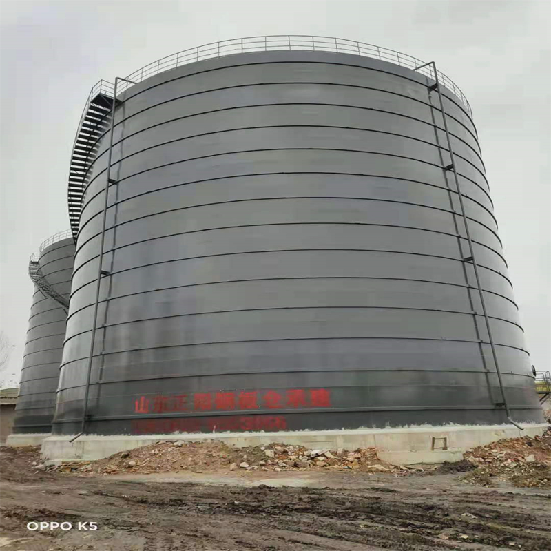 大路镇3万吨大型钢板库