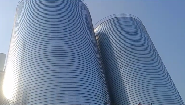 大路镇2座混凝土高架卷板仓